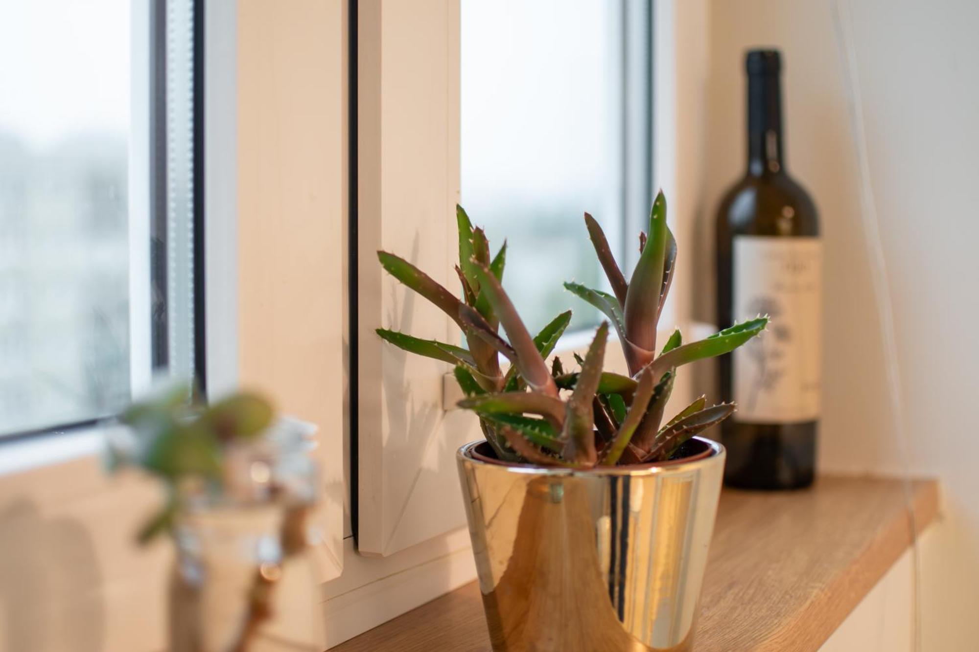 Accommodatie bij particulieren Na Magellana